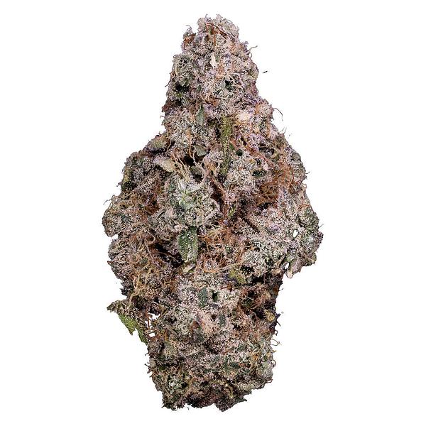 Tribal - Porto Leche image 1