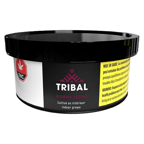 Tribal - Porto Leche image 2