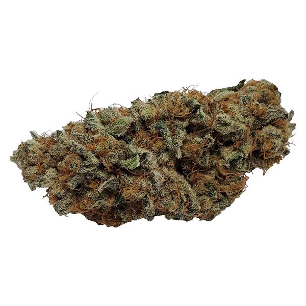Color Cannabis - Pedro's Prima Sativa image 1