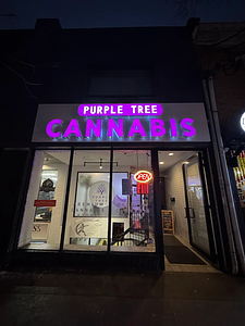 Purple Tree Cannabis - Toronto store front