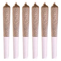 Station House - Coast to Coast Series Pre-Roll