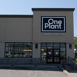 One Plant - Grande Praire store front