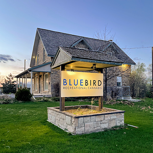 BlueBird Cannabis - Kanata store front