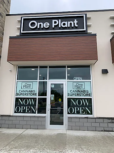 One Plant - Ridgeway store front