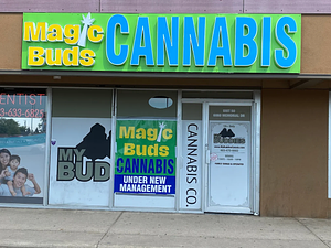 Magic Buds - Madigan store front