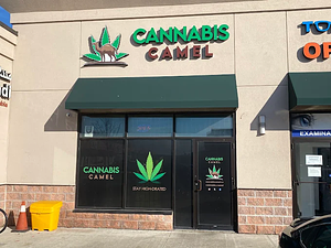 Cannabis Camel store front
