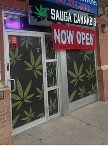 Sauga Cannabis store front