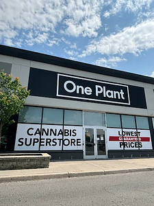One Plant - Kingston store front