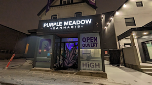 Purple Meadow - Downtown store front
