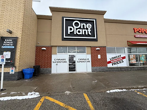 One Plant - Bradford store front