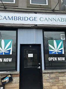 Cambridge Cannabis Co ON store front