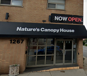 Nature's Canopy House - Toronto store front