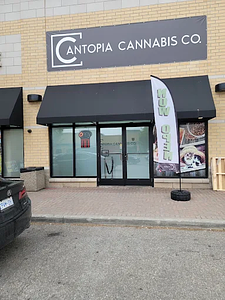 Cantopia Cannabis Co. - Brampton (Mississauga Rd) store front