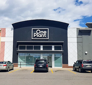 One Plant - Ajax store front