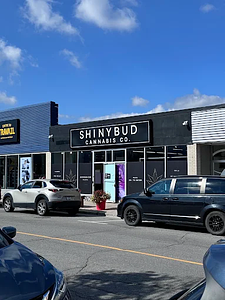 Shiny Bud - Hawkesbury store front