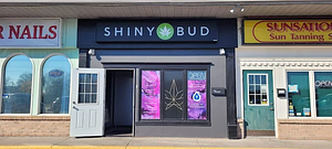 High Cannabis - Belleville store front