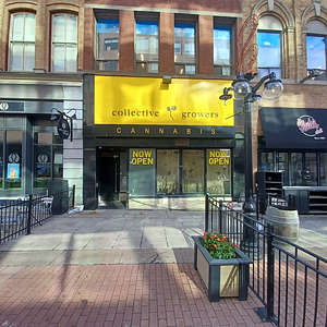 Collective Growers - Sparks Street store front