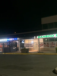 One Plant - Arnprior store front