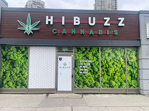 HiBUZZ Cannabis - Mississauga store front
