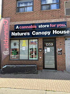 Nature's Canopy House - East York store front