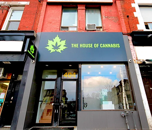The House of Cannabis - Totonto store front
