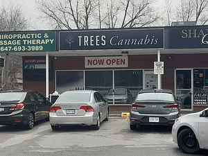 Trees Cannabis - Scarborough - Port Union Road store front