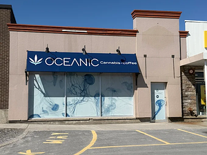 Oceanic Releaf - Clarenville store front