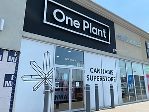 One Plant - Cornwall store front