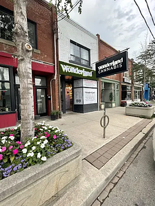 Wonderland Cannabis - Queen store front