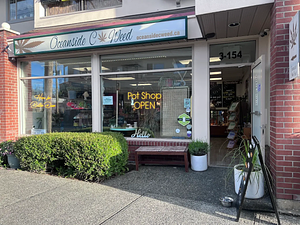 Small Town Pot Shop store front