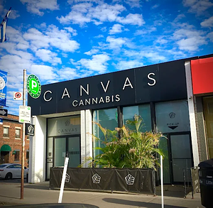 Canvas Cannabis - Danforth store front