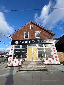 Daisy Cannabis store front