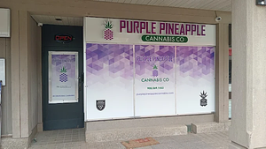 Purple Pineapple Cannabis - Mississauga store front