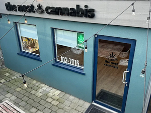 The Nest store front