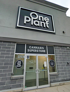 One Plant - Elmira store front