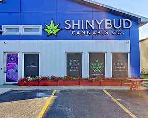 Shiny Bud - Brampton store front