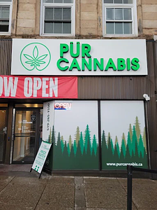 Pur Cannabis - Guelph Downtown store front