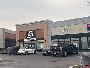 One Plant - Barrie - Cundles Road store front
