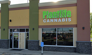 Plantlife Cannabis - Calgary - Shepard Regional store front