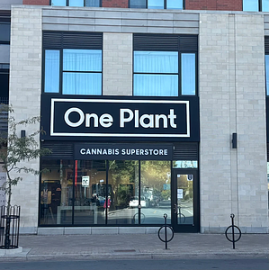 One Plant - Ottawa - The Glebe store front