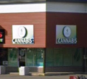 Sweet Releafs - Brantford store front