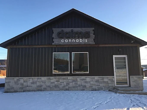 Daima Cannabis store front