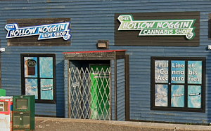 Thee Hollow Noggin Cannabis Shop store front