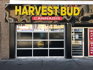 Harvest Bud Cannabis store front