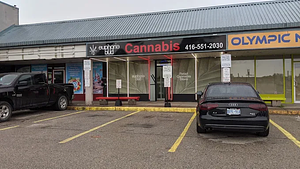 Euphoria Bud store front