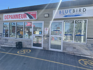 BlueBird Cannabis - Hawkesbury store front
