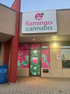 Flamingo + Cannabis - Regent Ave store front