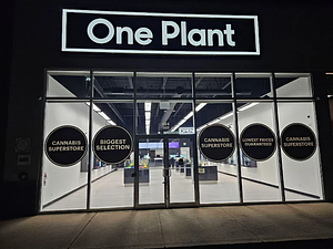 One Plant - Hawkesbury store front