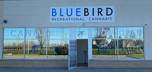 BlueBird Cannabis store front