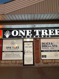 One Tree Cannabis store front